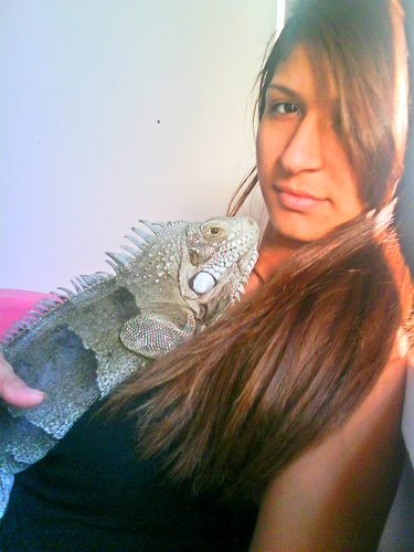 MihQueiroz2's profile picture. 