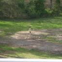 anthony prior - @greyfoxfang - Twitter