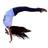 CallieBof's profile image