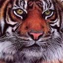 SamuelScherer - @SamuelScherer1 - Twitter