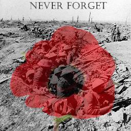 IzaakH's profile picture. 