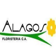 Floristeria ubicada en el cementerio del este que se dedica a vender arreglos Florales via internet en http://t.co/IdovG65F. Haz tu pedido que esperas?!