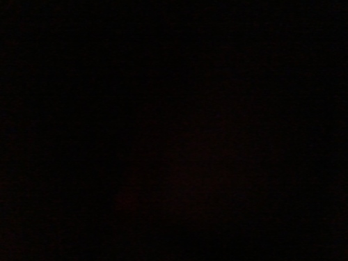 criatividade insuficiente para criar bio, tente novamente mais tarde.