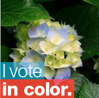 NotTheNorm247's profile picture. 