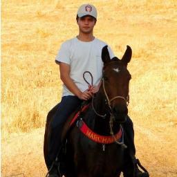 PedroHeRoc Profile Picture