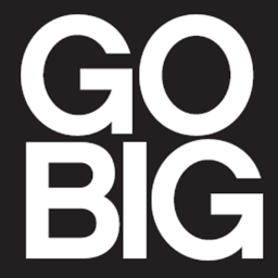 GoBig is a leading digital marketing company providing website development, e-commerce, social media and custom product development.