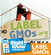 We're the SF part of http://t.co/V5PuCBrYoQ on a ballot initiative to mandate labeling of GMOs in our food. Please join us, participate, donate, volunteer!