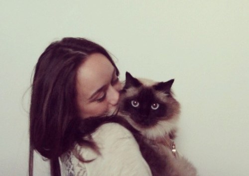 helinokcuogl's profile picture. Altijd onderweg.