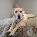 brian wertz - @bwertz11 - Twitter