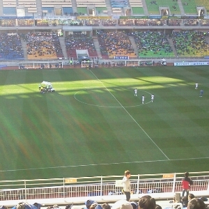 nzlive's profile picture. 세상만사모든관심