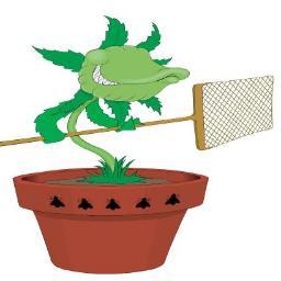 A PLACE FOR GREEN THUMBS