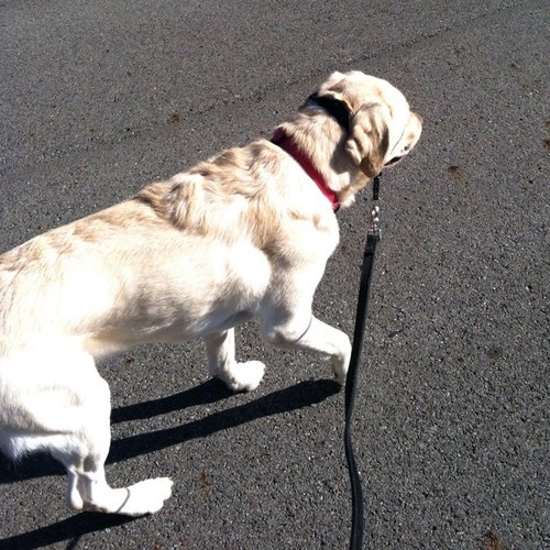 asmithgall's profile picture. 