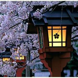 We are on twitter! Co-account of FB Nihongo Sensei (JLT).
We answer your questions about Japanese and Japan!
一緒に日本語を勉強しましょうね！＝）　いっしょににほんごをべんきょうしましょうね。