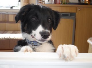 Here I am!