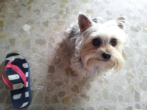 mabelvmt's profile picture. Profesora de Español para extranjeros. Disfruto como una niña diseñando pequeñas joyitas de bisutería y  con cualquier  manualidad.