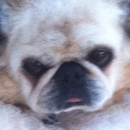 Follow my blog: http://t.co/t8B7hFfFTu