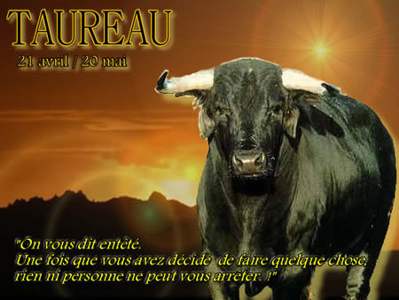 Signetaureau Signedutaureau Twitter