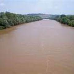 Everything Parkersburg Vienna Wood County Belpre Marietta West Virginia Ohio WV OH WVU OU And A Little Extra Thrown In
