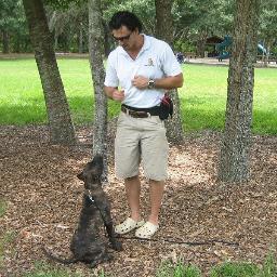 Former dog trainer, now coaching dog owners...helping people become the best damn person for their dog...