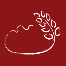 LaSubirana's profile picture. Taller de pan ecológico con masa madre. Mimamos nuestros panes