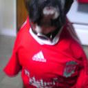 Mickey Clark - @MickeyClark2 - Twitter