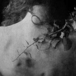 {15} Mi vida se resume en un monton de poemas inconclusos e historias sin inicio ni final. La realidad no esta hecha para mi.