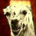 Profile Picture of Scott Appleby (@jeffreyfranken) on Twitter
