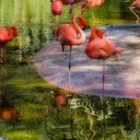 Bernard Freeth - @freethb - Twitter