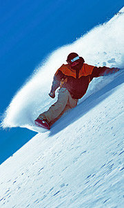 freshpeaks's profile picture. Winter travel directory with information on ski resorts, heli skiing, cat skiing, accommodation and industry. Powder to the people!