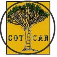 Cotcan (@cotcan_) 's Twitter Profile