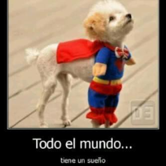 amante de los animales apoyo 100% al talento venezolano ♥