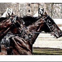 Robert McIntosh 52 (@mcintosh52bob) Twitter profile photo