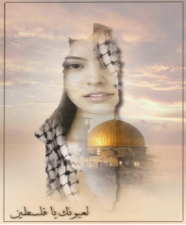 archmaz1's profile picture. 