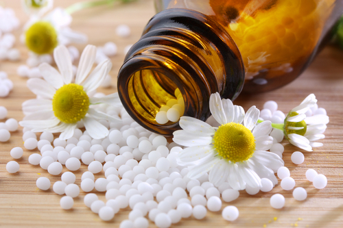 Professional registered & insured homeopath bringing homeopathic medicine to village communities in the Blackdown Hills; Taunton Deane; Exeter and West Somerset
