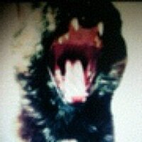 B (@b_s_brain) 's Twitter Profile