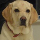 Cian Holmes - @CianHolmes1 - Twitter