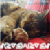 ゆんこ (@mk_love_y) Twitter profile photo ゆんこ (@mk_love_y) Twitter profile photo