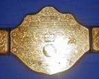 WWA4 wrestling school with 5 rings. $990 for 3 years training