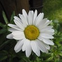 Joyce Weller - @WellerJoyce - Twitter