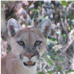 PatagoniaLake's profile picture. 