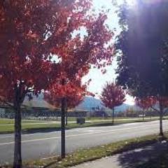 LibertyLakeLife's profile picture. I love my life in Liberty Lake! Need Travel Tips for the area? Spokane to Coeur D'Alene and beyond! Food, Wine, Lodging, Shopping, Attractions and so much more!