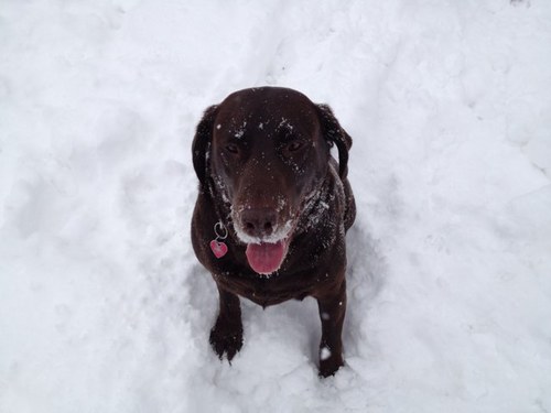 kmmiller56's profile picture. 