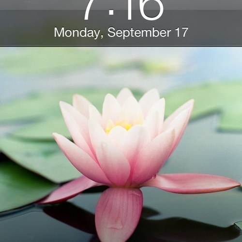 tjily's profile picture. 