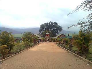 MBAHS_Reunion's profile picture. Reuniting former and current students of Mandela Barloworld on the 22nd of December reminiscing on old times! Admins: Lionel, Maphoko, Mokgadi, Poppy & Tumelo