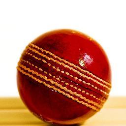 All the latest cricket news and analysis from Sydney's Daily and Sunday Telegraph.
