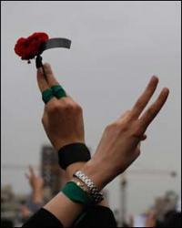 mcameron13's profile picture. 