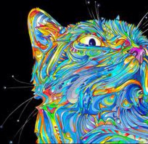 DopeNaturally's profile picture. I mean...who needs brain cells anyways?