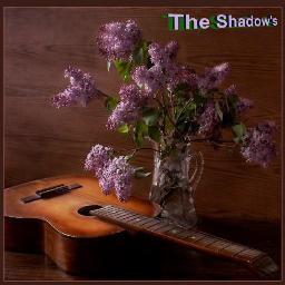 TheShadowsFL's profile picture. Members: Jerry Albritton, Michelle Ohlson and Gary Ohlson