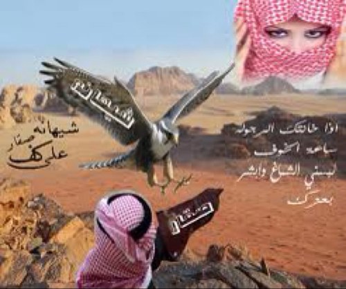 شيهانه ع كف صقار