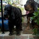 Ellen Bruck - @mellen4217 - Twitter